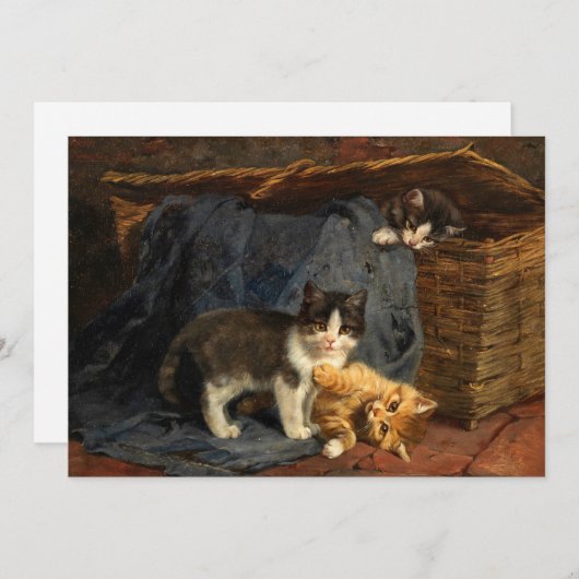 Drie Kittens | Julius Adam de Jongere (Voorkant / Achterkant)