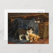 Drie Kittens | Julius Adam de Jongere Briefkaart (Voorkant / Achterkant)