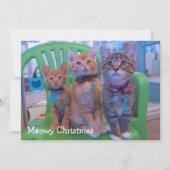 Drie kittens Meowy Bedankkaart (Voorkant)