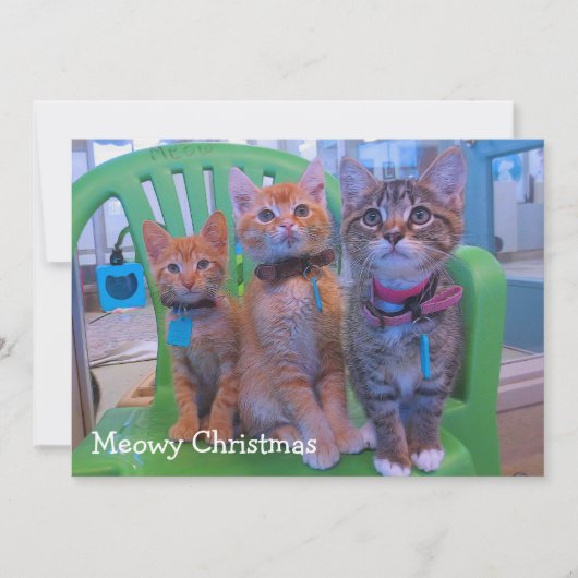 Drie kittens Meowy Bedankkaart (Voorkant)