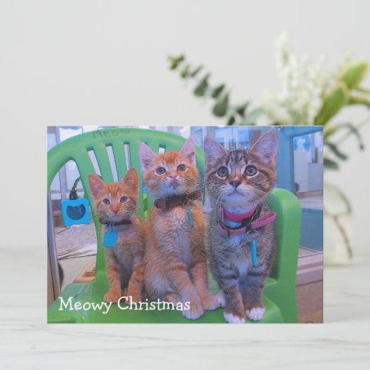 Drie kittens Meowy Bedankkaart (Staand voorkant)