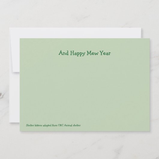 Drie kittens Meowy Bedankkaart (Achterkant)