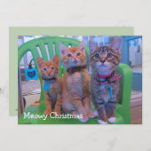 Drie kittens Meowy Bedankkaart (Voorkant / Achterkant)