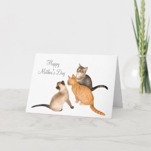 Drie Kittens-Moederdag Kaart