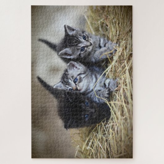 drie kittens puzzel (Verticaal)