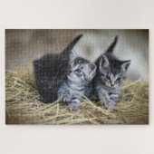 drie kittens puzzel legpuzzel (Horizontaal)