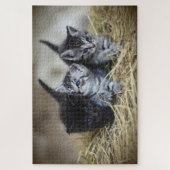 drie kittens puzzel legpuzzel (Verticaal)