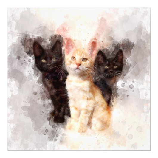 Drie kittens schattig en mooie waterverf foto afdruk (Voorkant)