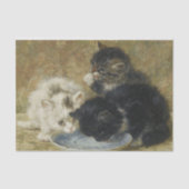 Drie Kittens van Henriette Ronner-Knip Tissuepapier (Voorkant)