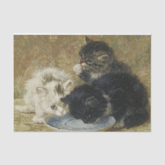 Drie Kittens van Henriette Ronner-Knip Tissuepapier (Voorkant)