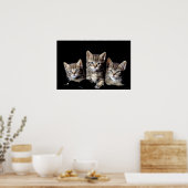 Drie Kittens van Junglewalk.com Poster (Keuken)
