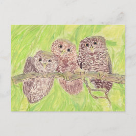 Drie kleine cowling-eigenaars - acrylschilderij. briefkaart