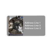 Drie kleine Kittens Label (Voorkant)