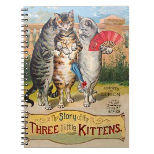 Drie kleine Kittens Moeder Goose Illustratie Notitieboek