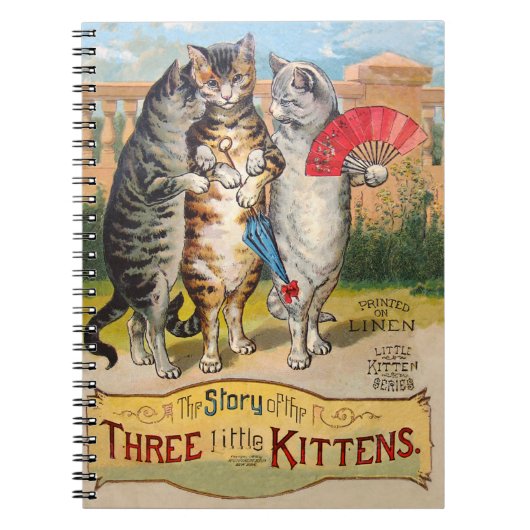 Drie kleine Kittens Moeder Goose Illustratie Notitieboek (Voorkant)