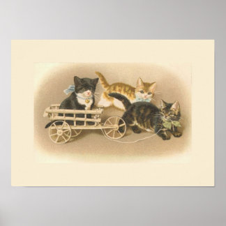 Drie Kleine Kittens Poster