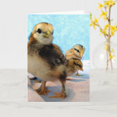 Drie kleine kuikens kaart (Gele Bloem)