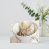 Drie kleine muizen briefkaart (Staand voorkant)