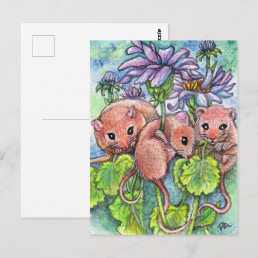 Drie kleine muizen briefkaart (Voorkant / Achterkant)