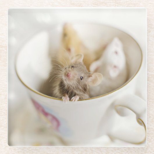 Drie kleine muizen glazen onderzetter (Voorkant)