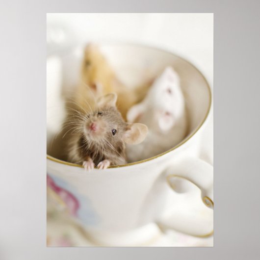 Drie kleine muizen poster (Voorkant)