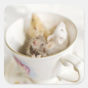 Drie kleine muizen vierkante sticker