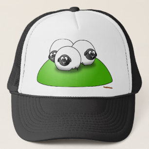 Drie kleine Petten schapen