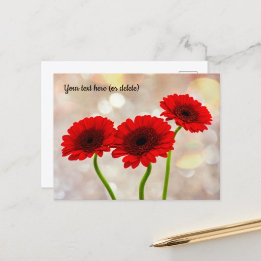 Drie Kleine Rode Gerbera's Ansichtkaart Briefkaart (Voorkant / Achterkant in situ)