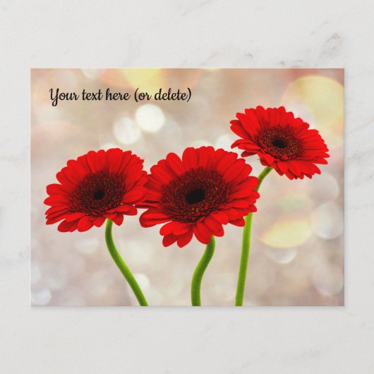 Drie Kleine Rode Gerberas Briefkaart (Voorkant)