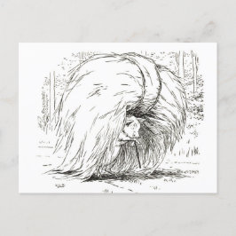 Drie kleine Varkens: Het eerste kleine Varkenspijn Briefkaart