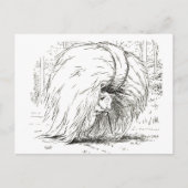 Drie kleine Varkens: Het eerste kleine Varkenspijn Briefkaart (Voorkant)