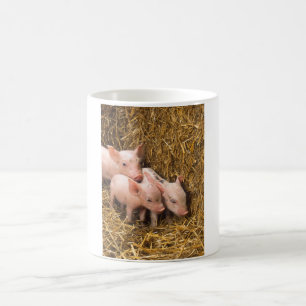 Drie kleine varkens magische mok