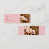 Drie kleine varkens mini visitekaartje (Voorkant / Achterkant)