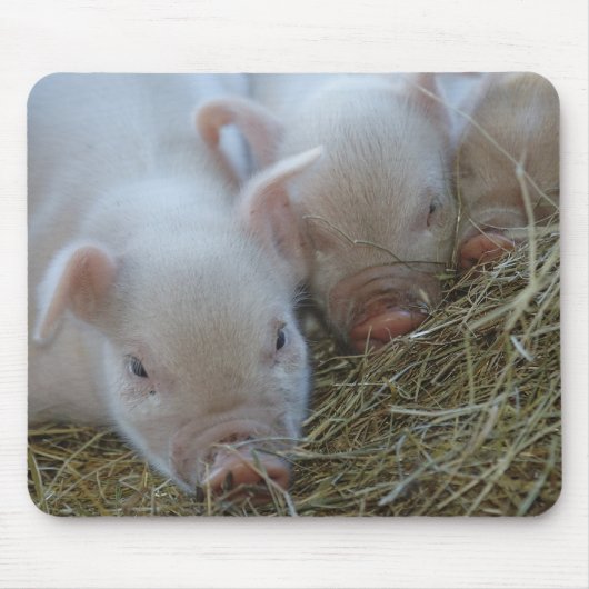 Drie kleine varkens muismat (Voorkant)