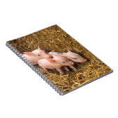 Drie kleine varkens notitieboek (Rechterzijde)