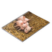 Drie kleine varkens notitieboek (Linkerzijde)