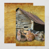 Drie kleine varkens op de bijtende schuur bedankkaart (Voorkant / Achterkant)