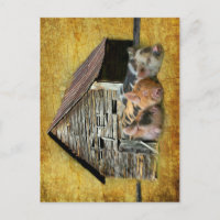 Drie kleine varkens op de bijtende schuur