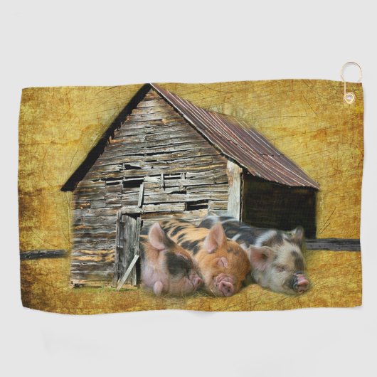 Drie kleine varkens op de bijtende schuur golfhanddoek (Horizontaal)