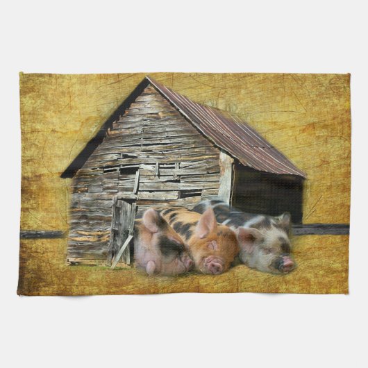 Drie kleine varkens op de bijtende schuur theedoek (Horizontaal)