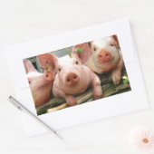 Drie kleine varkens rechthoekige sticker (Envelop)