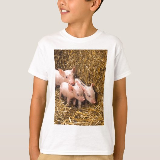 Drie kleine varkens t-shirt (Voorkant)