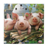 Drie kleine varkens tegeltje (Voorkant)