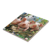 Drie kleine varkens tegeltje (Zijkant)