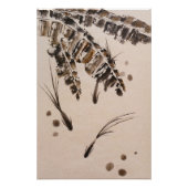 Drie kleine vissen perfect poster (Voorkant)