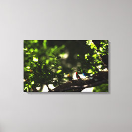 Drie Kleine Vogels Canvas Afdruk