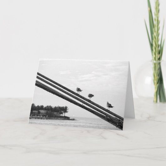 Drie kleine vogels ~ Vacatie Bedankkaart (Voorkant)