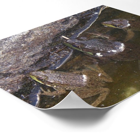 Drie kleine wonderen poster (Hoek)