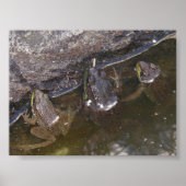 Drie kleine wonderen poster (Voorkant)