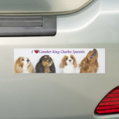 Drie kleuren Cavalier King Charles Spaniels Bumpersticker (Op auto)